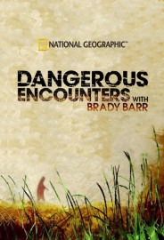 Dangerous Encounters